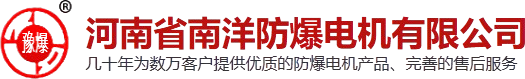 南洋防爆电机