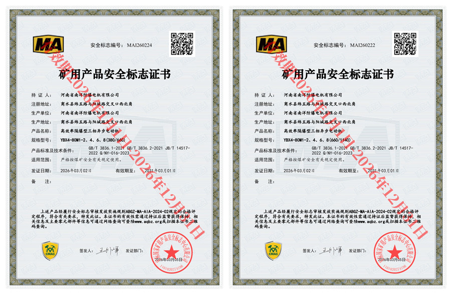 YBX4防爆电机-带煤安证,二级能效(图2)