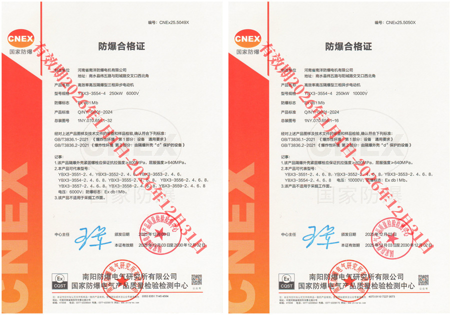YBX3高压防爆电机--带煤安证EXDI(图1)