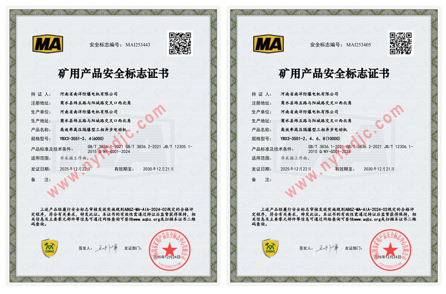 YBX3高压防爆电机--带煤安证EXDI(图2)