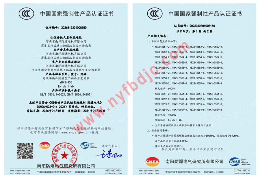 YBX3高压防爆电机--带煤安证EXDI(图3)