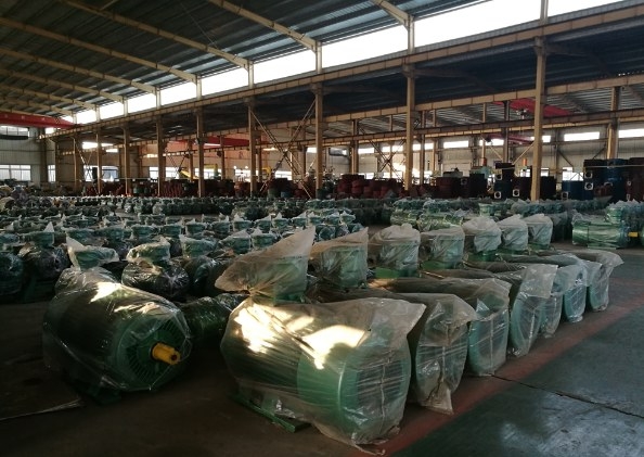 隔爆型三相异步电动机整机实景