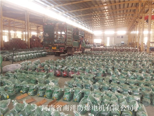 防爆电机成品出厂发货实景