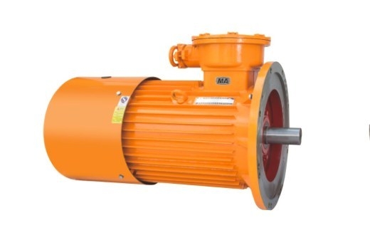 10kV 级矿用隔爆电动机